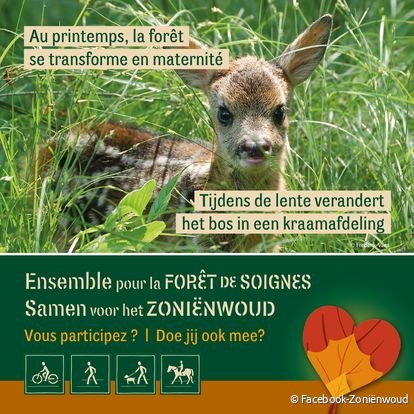 Zoniënwoud-samen_c.facebook