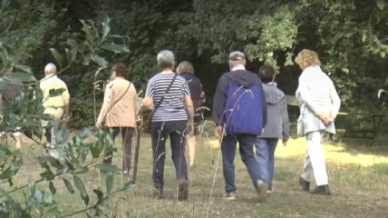 Dauwwandeling Dennenoord Eindhout