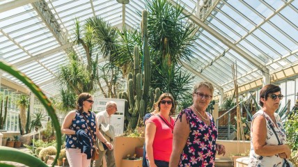 Gegidst bezoek aan het Afrika museum en de Plantentuin van Meise