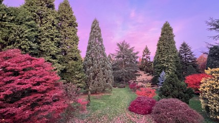 Bezoek aan Jaïn tempel en arboretum