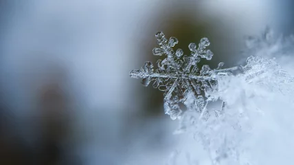 6 winterse cultuurtips