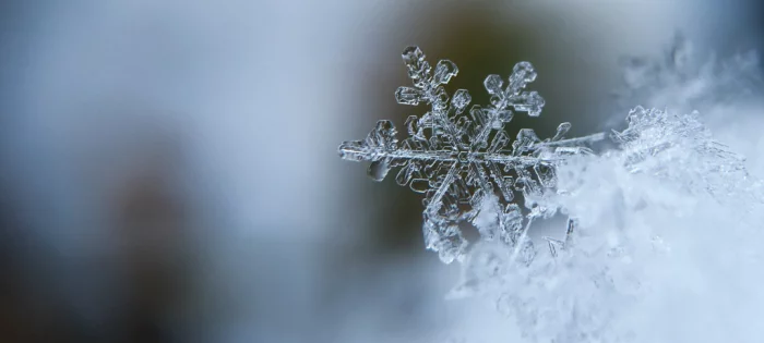 kerstvakantietips 2019 banner.webp