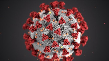 "Erger dan Covid 19. Epidemieën door de eeuwen heen"