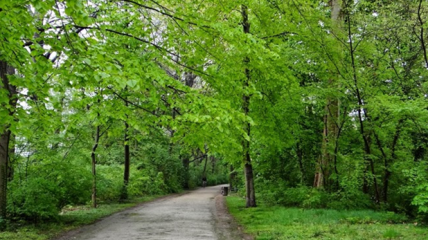 Wandeling stadsvesten Lier