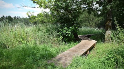 Natuurwandeling 'GRIESBROEK'