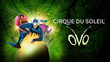 Voorstelling Cirque du Soleil - OVO