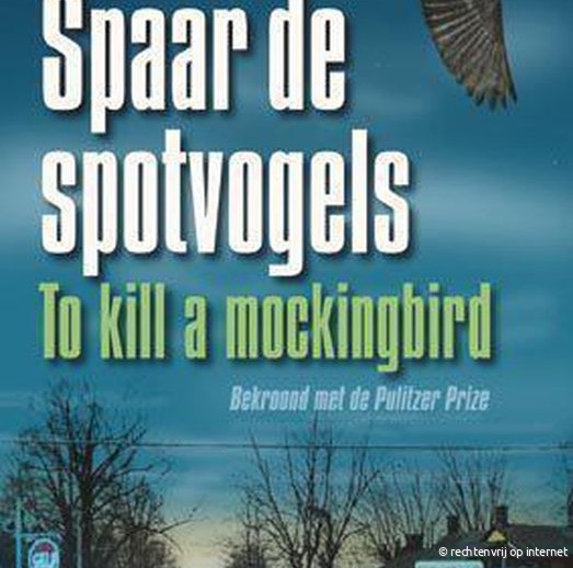 boekomslag