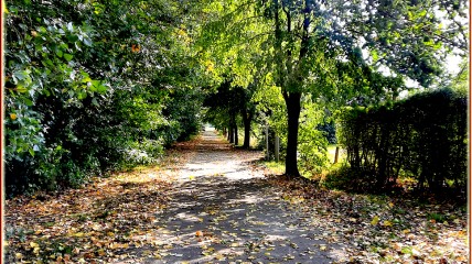 Herfstwandeling in Grammene en Gottem
