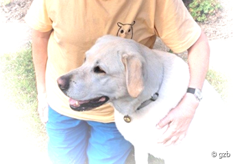 Frank en zijn blindengeleide hond Simba
