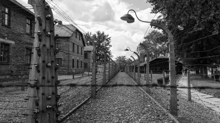 Auschwitz: van rubber tot vernietiging