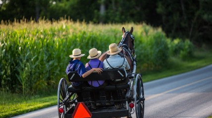 Leven in tegenculturen. Worstelen met een eigen identiteit