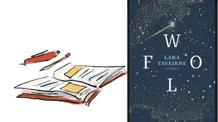 Leesgroep bespreekt 'Wolf' van Lara Taveirne