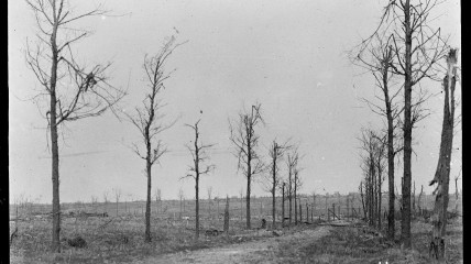 NIEUW - Dichters en de Grote Oorlog (1914-1918)