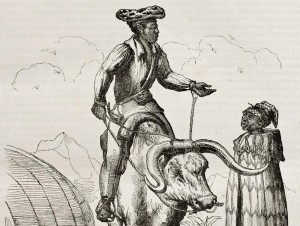 Verborgen Verleden. Vlaanderen en Zuid-Afrika