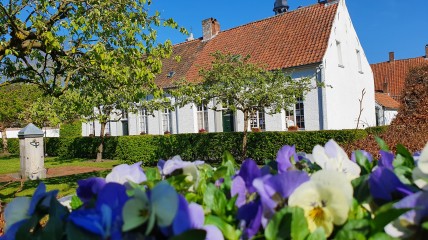De leukste zomerzoektocht strijkt neer in Hoogstraten, Merksplas, Baarle-Hertog en Baarle-Nassau