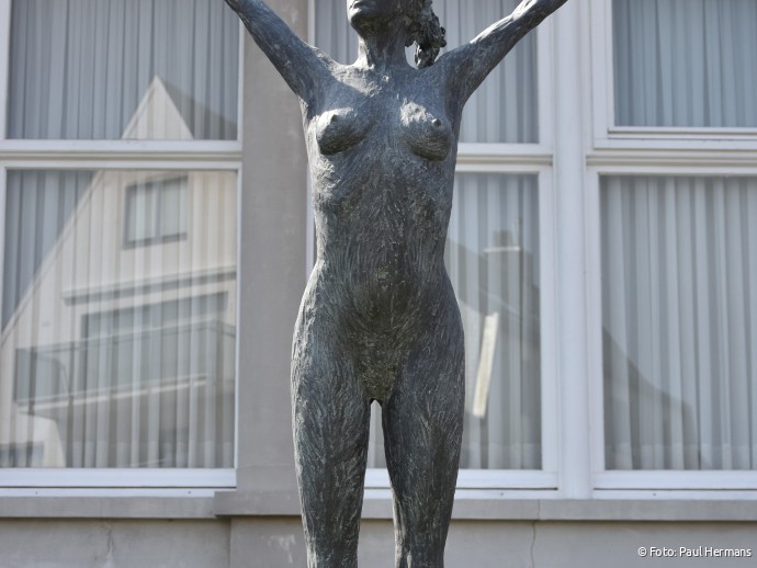 Freedom door Linde Ergo