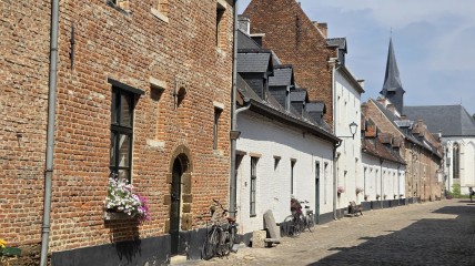 DIEST ontdekken