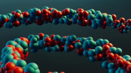 Genetische revolutie in de familiekunde