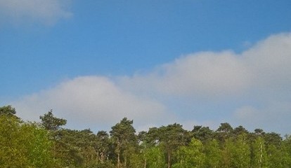 DAUWTRAP ZATERDAG 9 MEI 2026