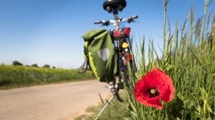 Fietstocht in Boechout en omgeving