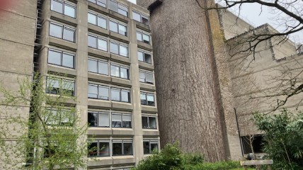 Bezoek aan het Erasmushuis in Leuven.