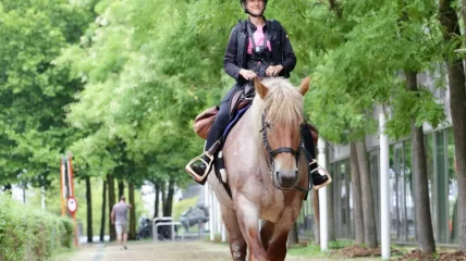 Toast Literair - Hilse De Groote op stap met haar trekpaard Elixir, vijf maanden lang.  Een vertelling met receptie