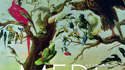 De wieg van democratie: Oorsprong en aantasting van politieke participatie in Europa