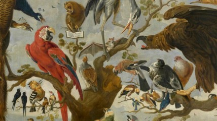 Tentoonstelling Verborgen Parels
