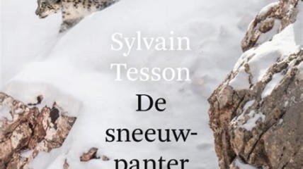 De sneeuwpanter