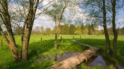 Wandeling De Doode Bemde