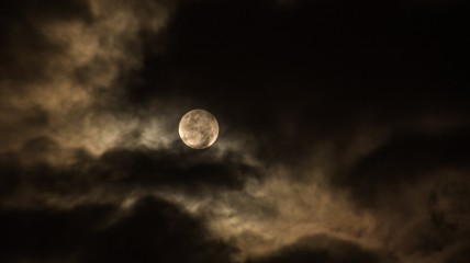 "Volle maan op de Kluis"-wandeling
