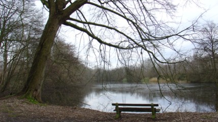 Bomenwandeling in het natuurgebied 'Waggelwater'