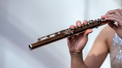 “Muzikale Tuinen”