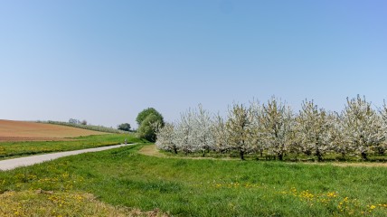 De geschiedenis van onze grond. Het oudste verhaal van Vlaanderen