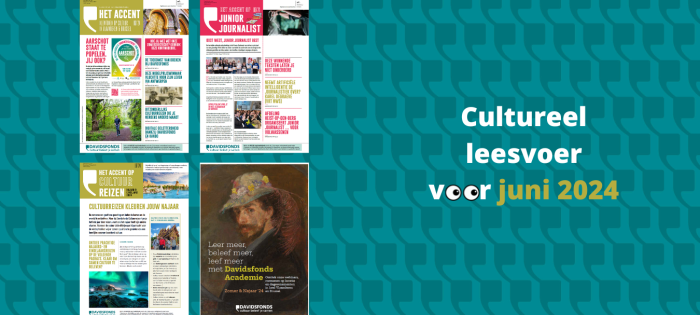 Accent covers blog juni_groot.png