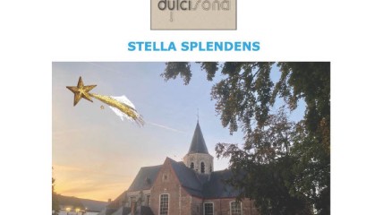 Kerstconcert met Dulcisona