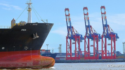 Daguitstap met de bus door de haven van Antwerpen