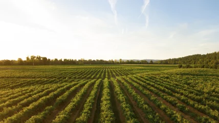 Landbouw en natuur onverzoenbaar?