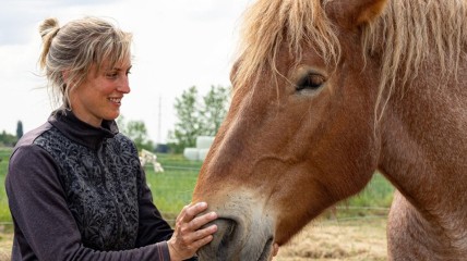Toast Literair - Hilse De Groote op stap met haar trekpaard Elixir, vijf maanden lang.  Een vertelling met receptie