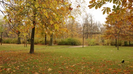 Herfstwandeling