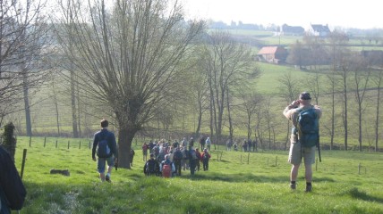 Vlaamse Ardennenwandeling.