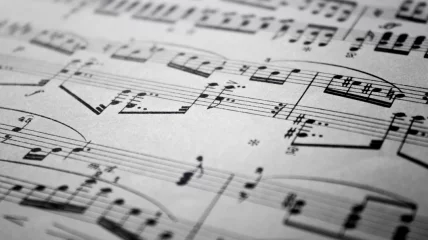Een muzikale zomer