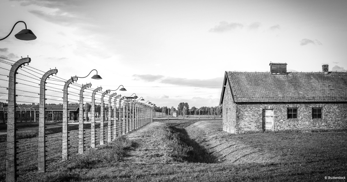 Over NIEUW - De duivel in elk van ons. Hoe gewone mensen in staat zijn