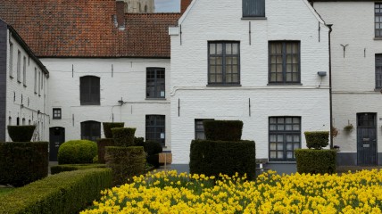 Stad van vrouwen. Over begijnen en begijnhoven