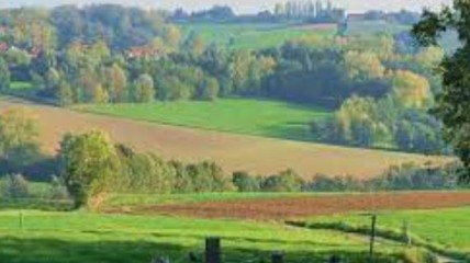 Hartje Vlaamse Ardennen