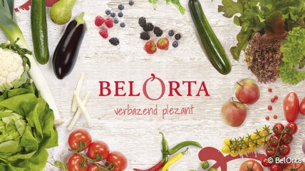 Geleid bezoek aan BelOrta in Sint-Katelijne-Waver