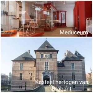 Med Hr Br Comp 2