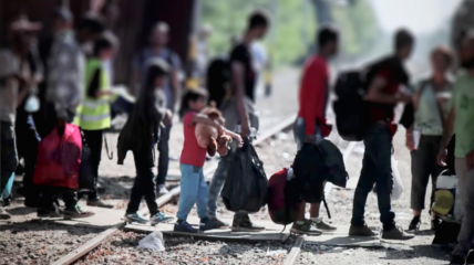 Tussen mens en staat. Het Belgische labyrint voor migranten