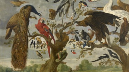 Over verborgen parels