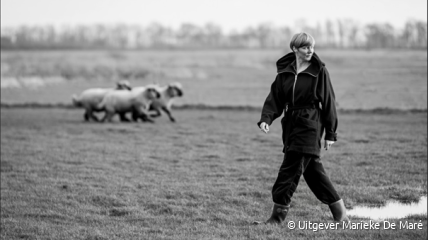 Lezing Marieke De Maré over haar tweede roman  "Ik ga naar de schapen"
